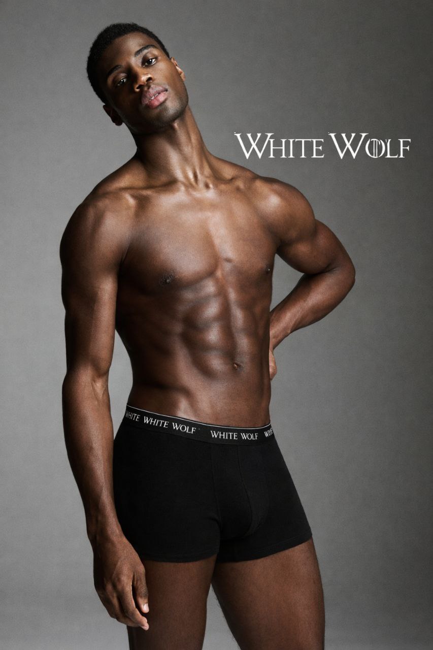 Wolf Boxer  4 piece